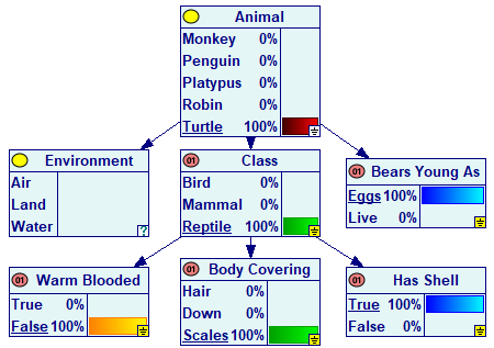 animals_network2