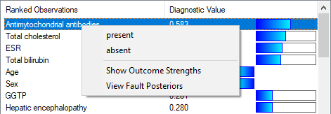 observing_diagnosis_window
