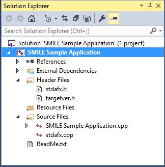 Visual Studio Solution Explorer.JPG