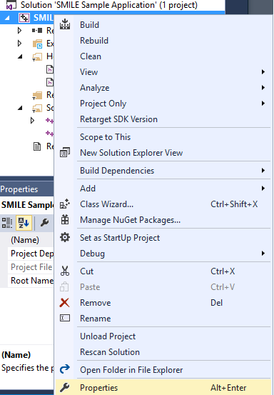 Visual Studio Solution Explorer Properties.png